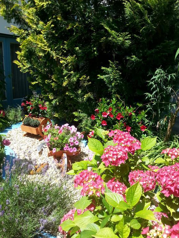 Hotel Park Eden Bad Bellingen Εξωτερικό φωτογραφία