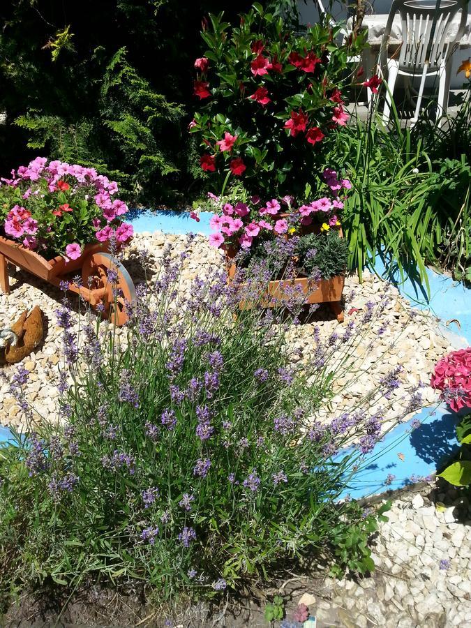 Hotel Park Eden Bad Bellingen Εξωτερικό φωτογραφία